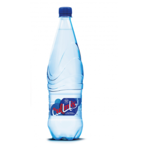 OULMES 1L