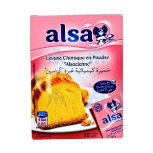 LEVURE ALSA 10 SACHETS